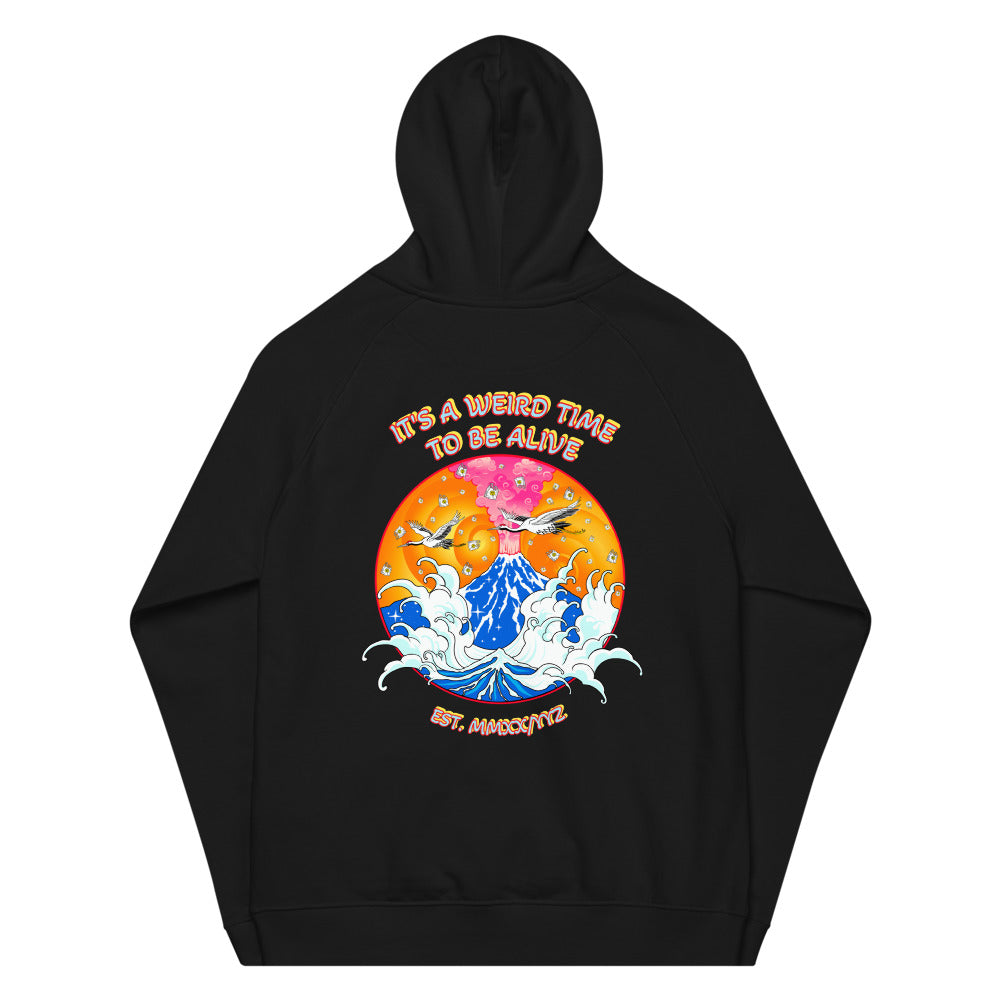 IAWTTBA Japanese Inspired Cranes Raglan Hoodie