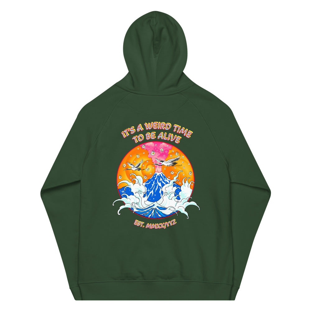 IAWTTBA Japanese Inspired Cranes Raglan Hoodie