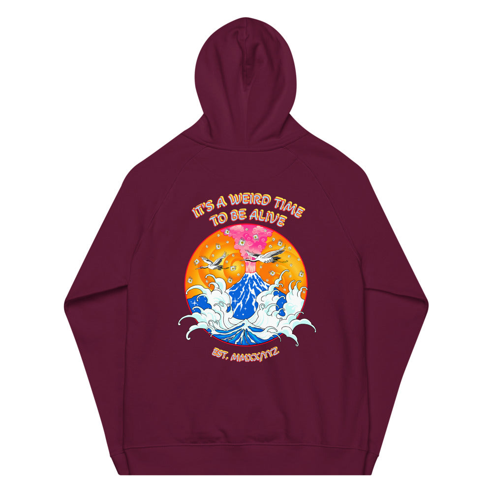IAWTTBA Japanese Inspired Cranes Raglan Hoodie