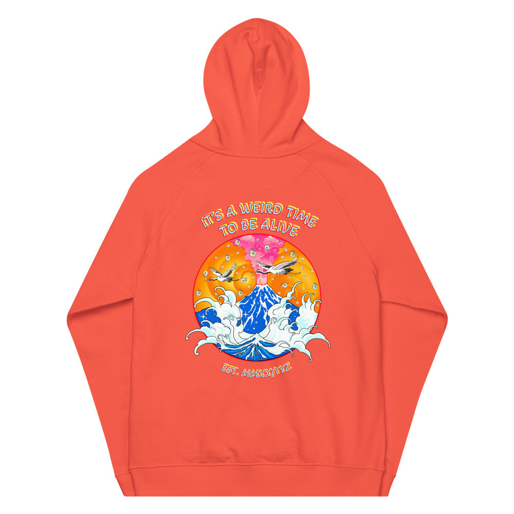 IAWTTBA Japanese Inspired Cranes Raglan Hoodie