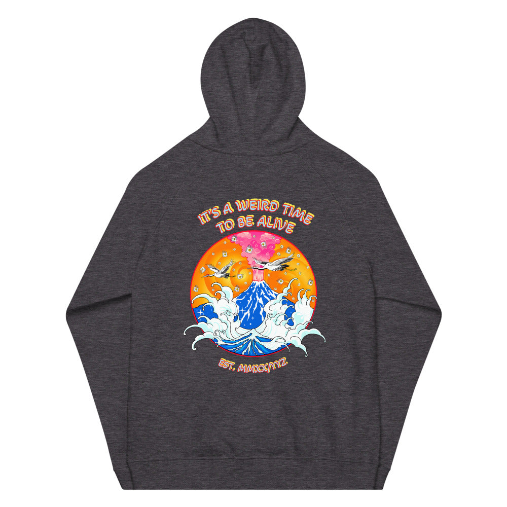 IAWTTBA Japanese Inspired Cranes Raglan Hoodie