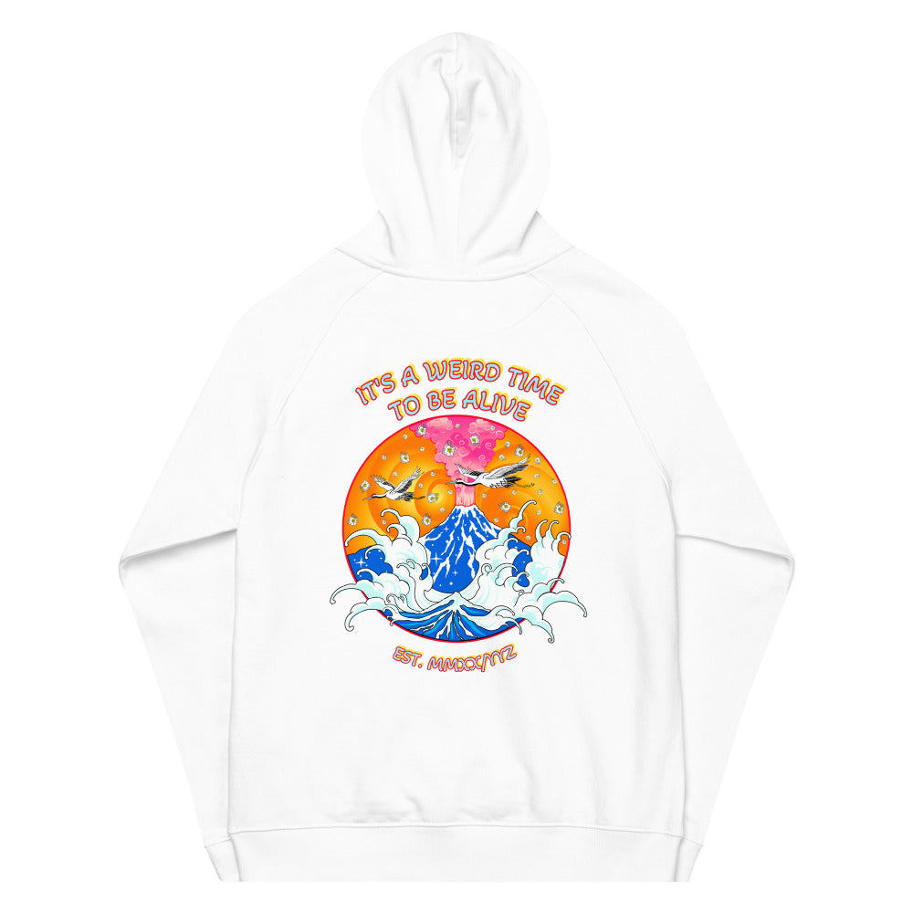 IAWTTBA Japanese Inspired Cranes Raglan Hoodie