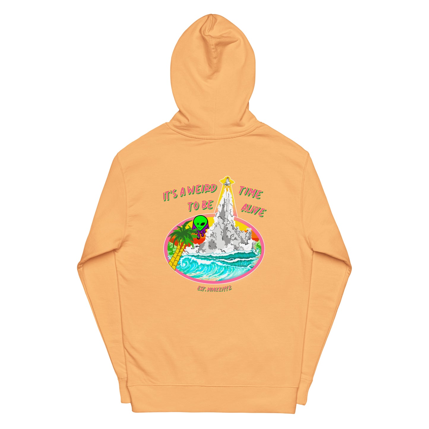 IAWTTBA 4:22 Endless Summer Unisex midweight hoodie