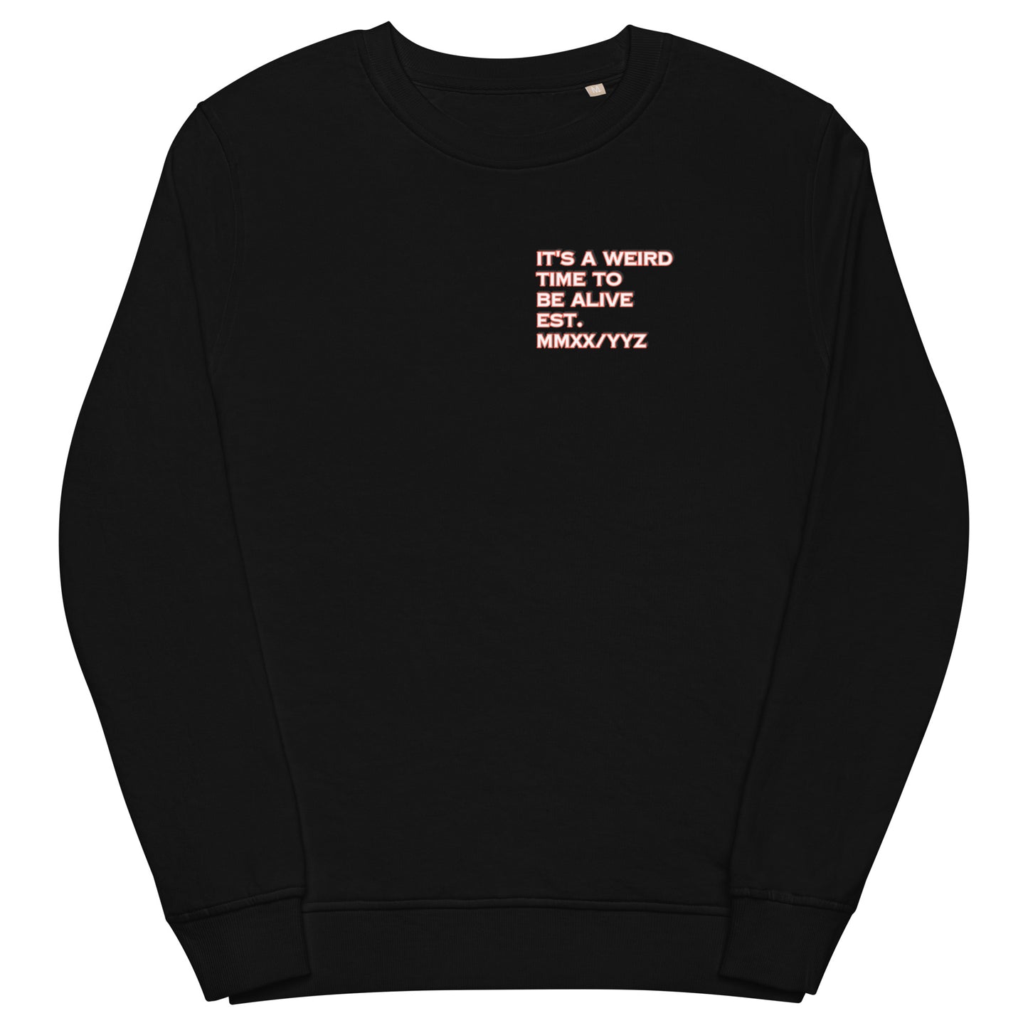 IAWTTBA RESIST organic sweatshirt