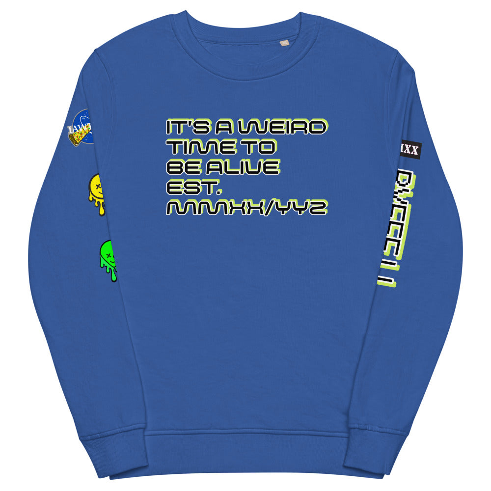 IAWTTBA SC Space Explorer organic sweatshirt