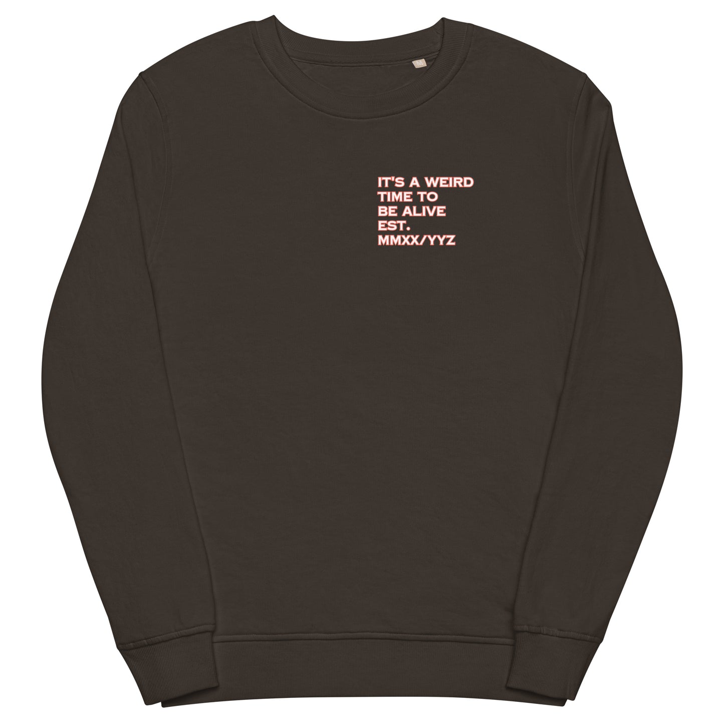 IAWTTBA RESIST organic sweatshirt